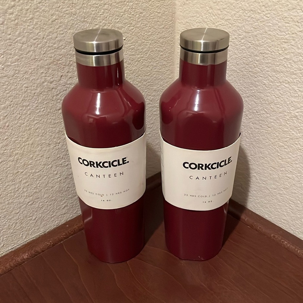 Corksickle 16 Ounce Canteens / Travel Thermos NEW